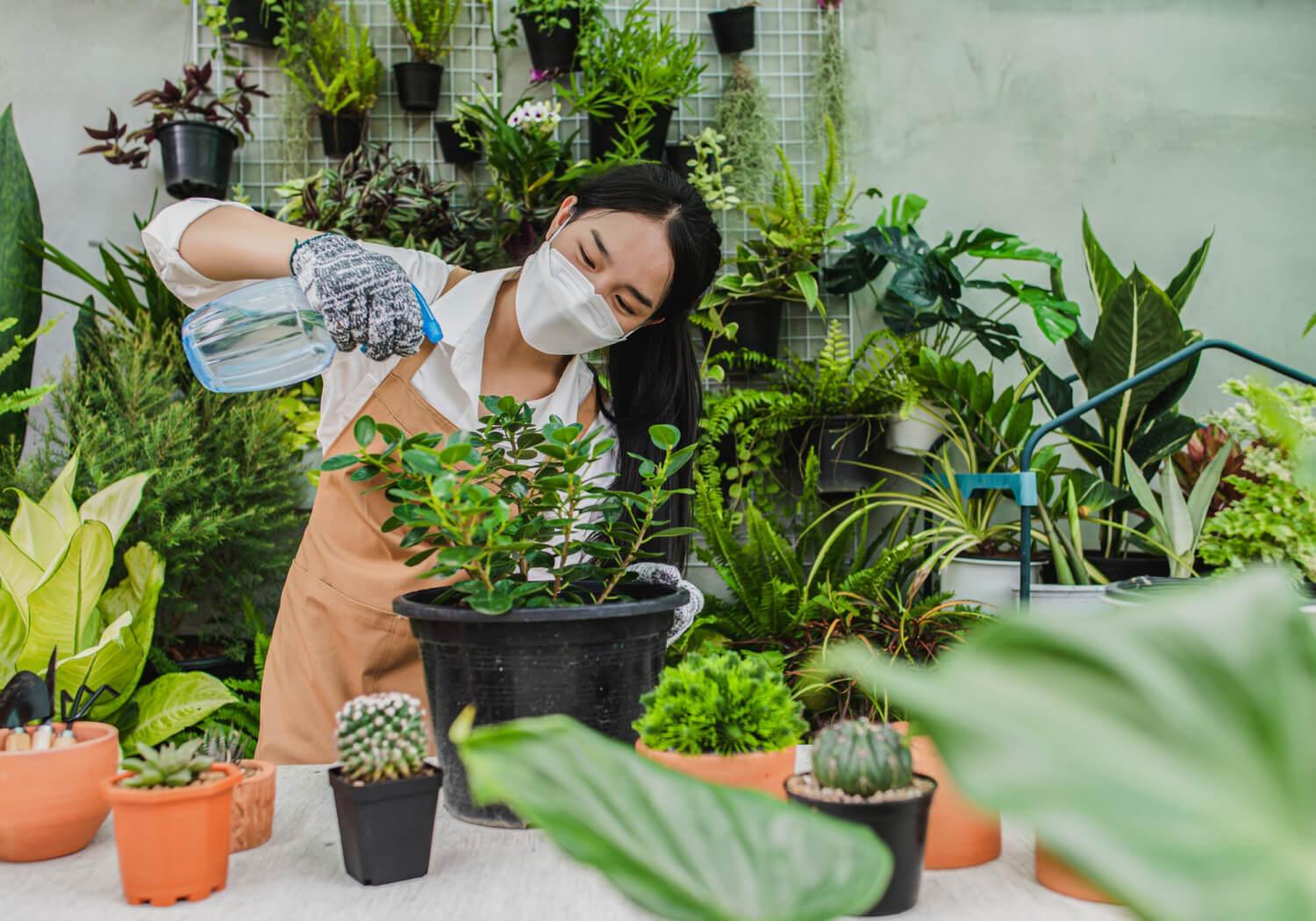 Hal yang perlu diperhatikan berkebun dirumah_Banner