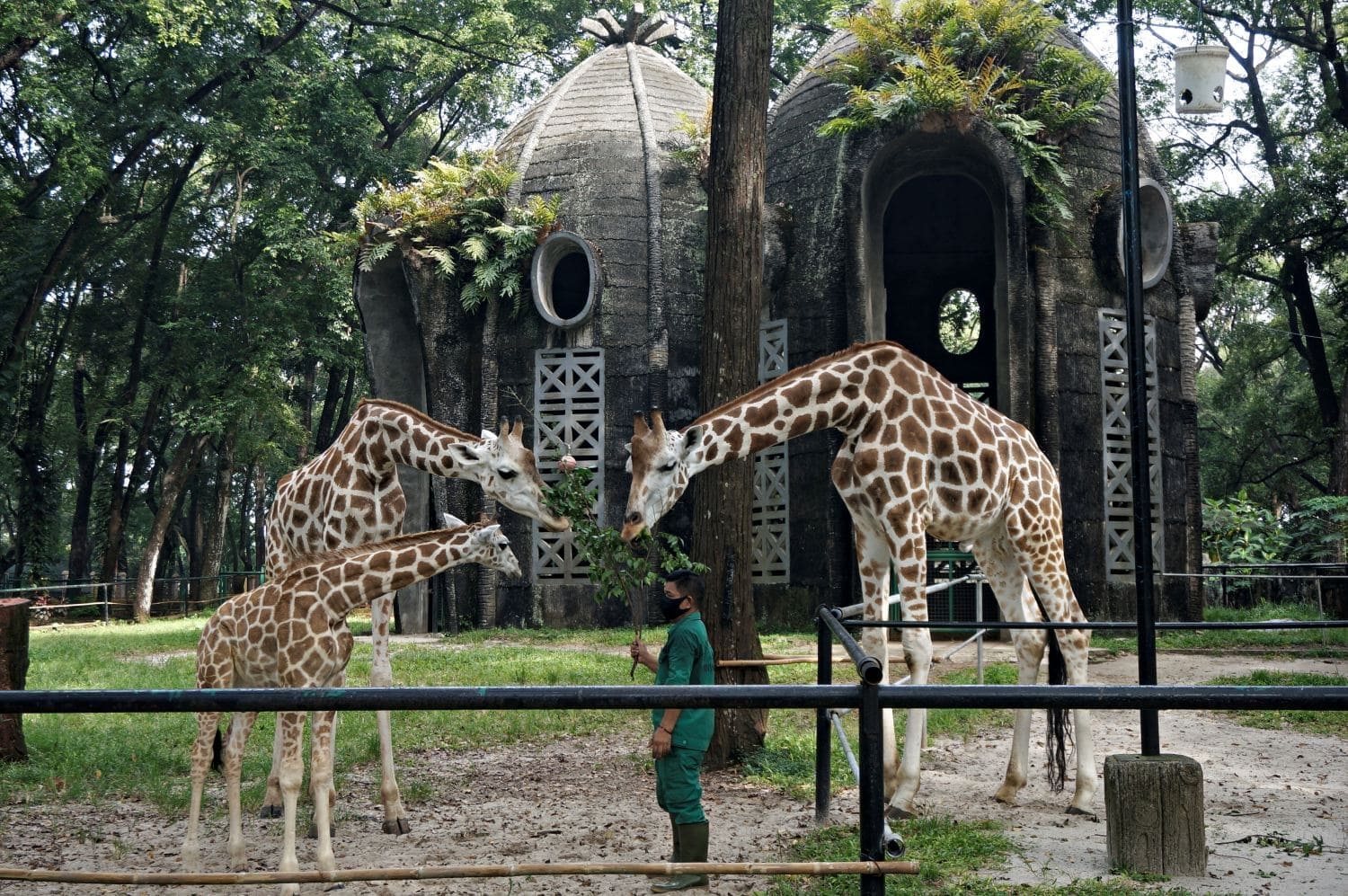 Liburan Bersama Keluarga_Ragunan(1)_banner