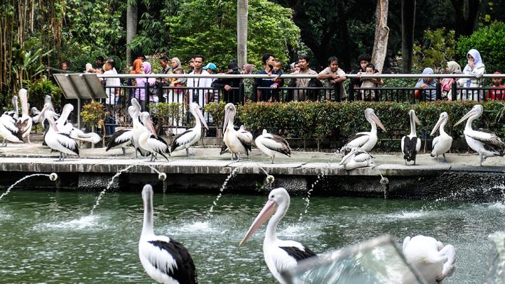 Liburan Bersama Keluarga_Ragunan(2)_banner