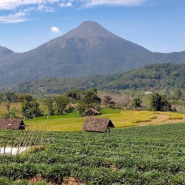 Gunung Di Indonesia_Gunung Penanggungan_banner