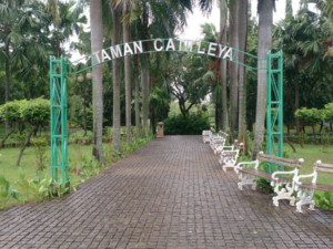 Taman Kota Di Jakarta_Taman Cattleya_banner