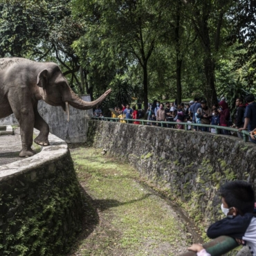 Tempat Liburan Jakarta_Taman Margasatwa Ragunan_banner